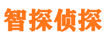 贡觉外遇出轨调查取证